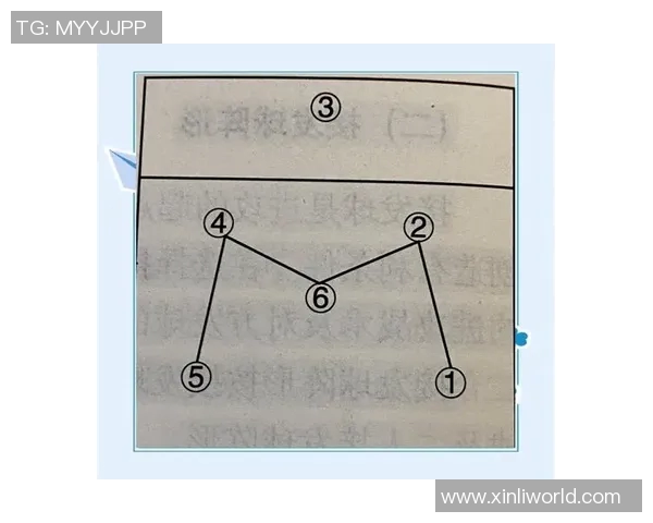 深入分析上海排球队的控制打法与战术执行策略