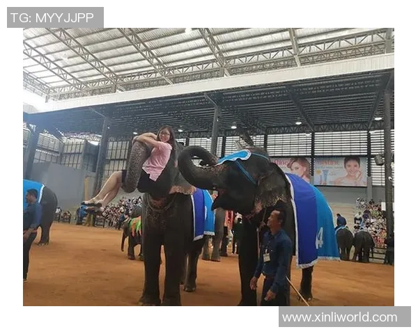 赵军专访：畅谈排球生涯与未来展望的精彩旅程