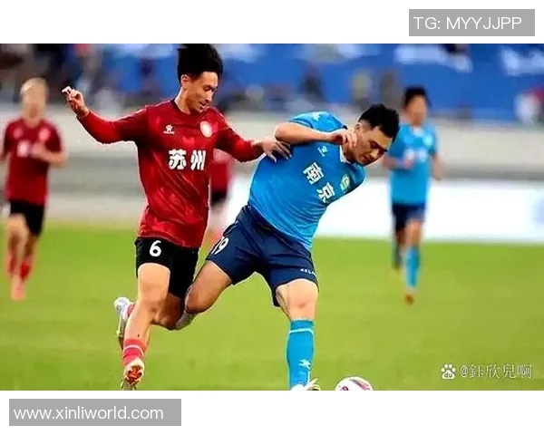 南京极限运动队配合表现的数据分析与团队协作提升策略探讨