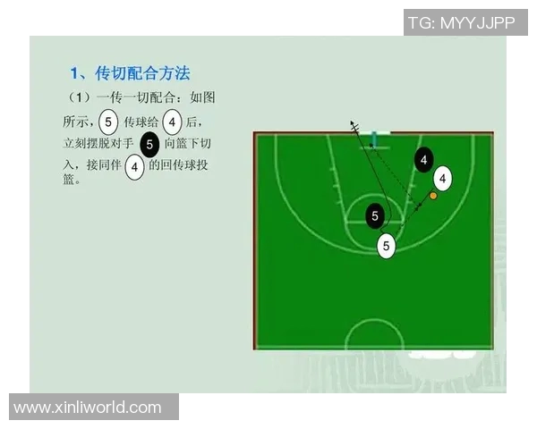 北京篮球队选拔赛表现分析团队配合与战术执行的关键因素探讨
